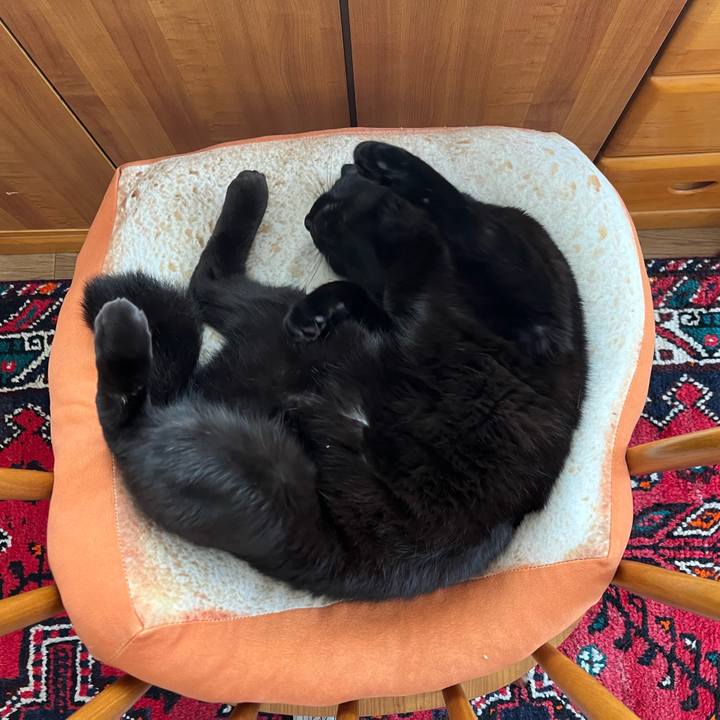 3d12e13d a412 414e b2cc 962e4953b3bd 1713346634441