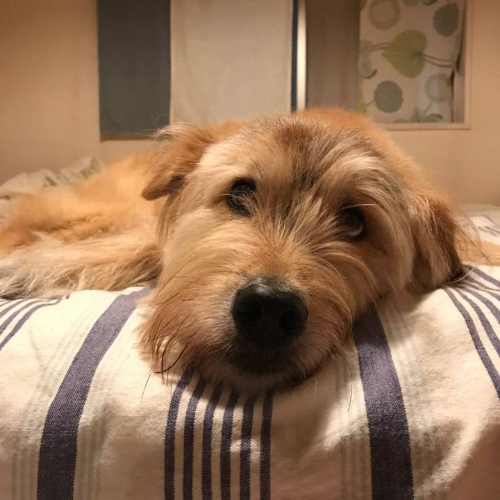 3d12ec8f dbee 4217 afa3 7f91a751e748 1536197447809