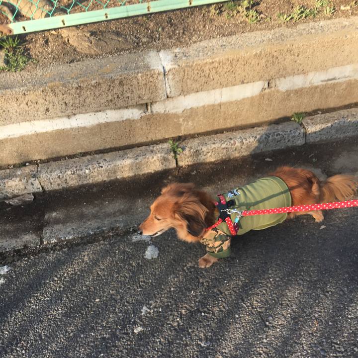 3d12f110 9ebc 402a 9167 7fe1f14070b4 1520757666115