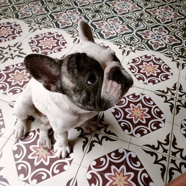 3d1300c1 7511 4c4b 9390 087ce8104e76 1667445599260