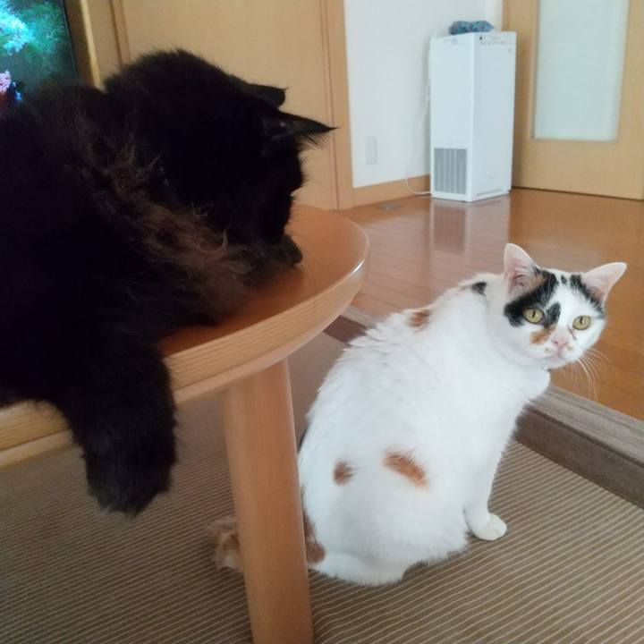 3d130570 98c3 47e2 9af9 f2839d664ff5 1633339219856