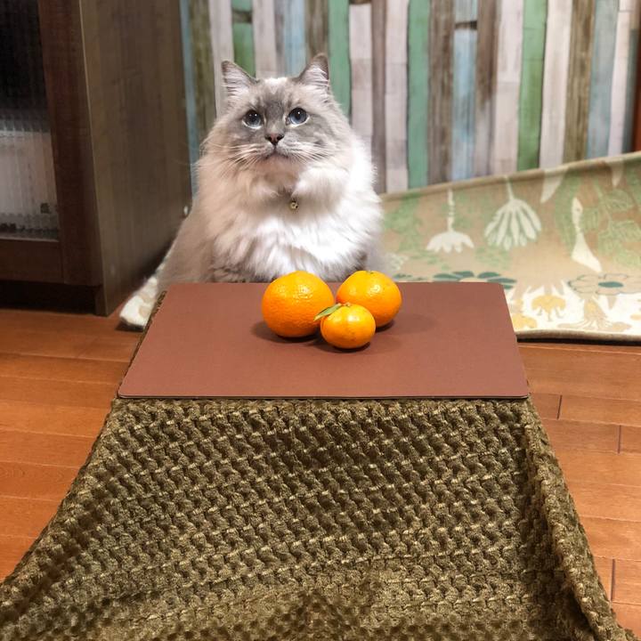 3d13072d c5e5 415d ad2b ca36f6fc0302 1701956729763