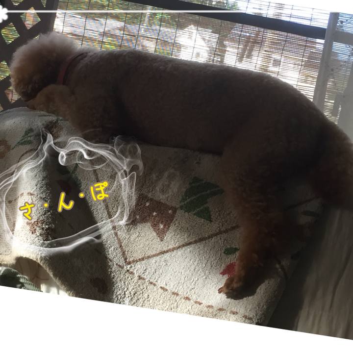 3d13155a 3ebc 4246 8cba fce8fe8db688 1530483519279