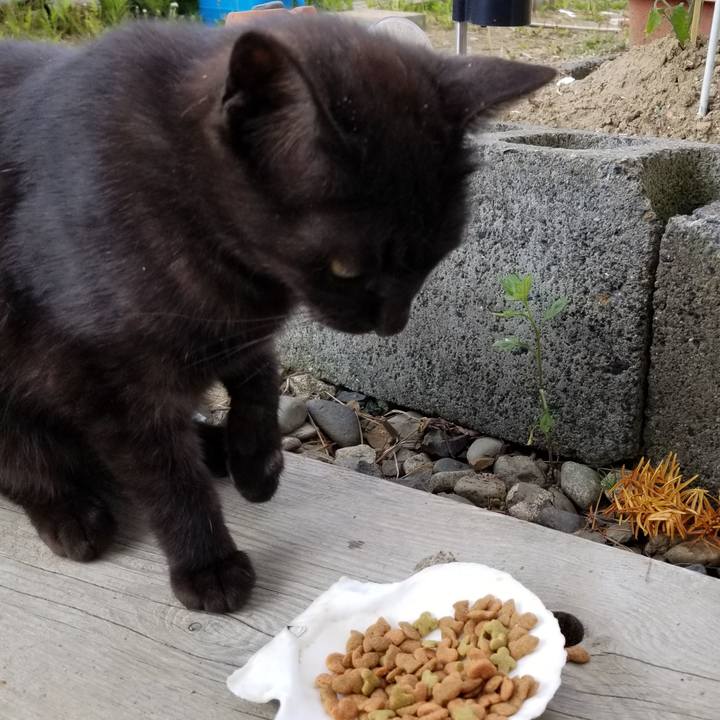 3d133a48 96c6 4478 9286 083f192cea82 1591364705452