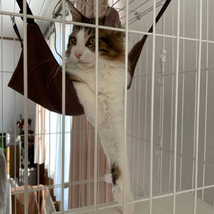 3d1353ef 2c86 4618 b861 e6a791cca4db 1635571679157