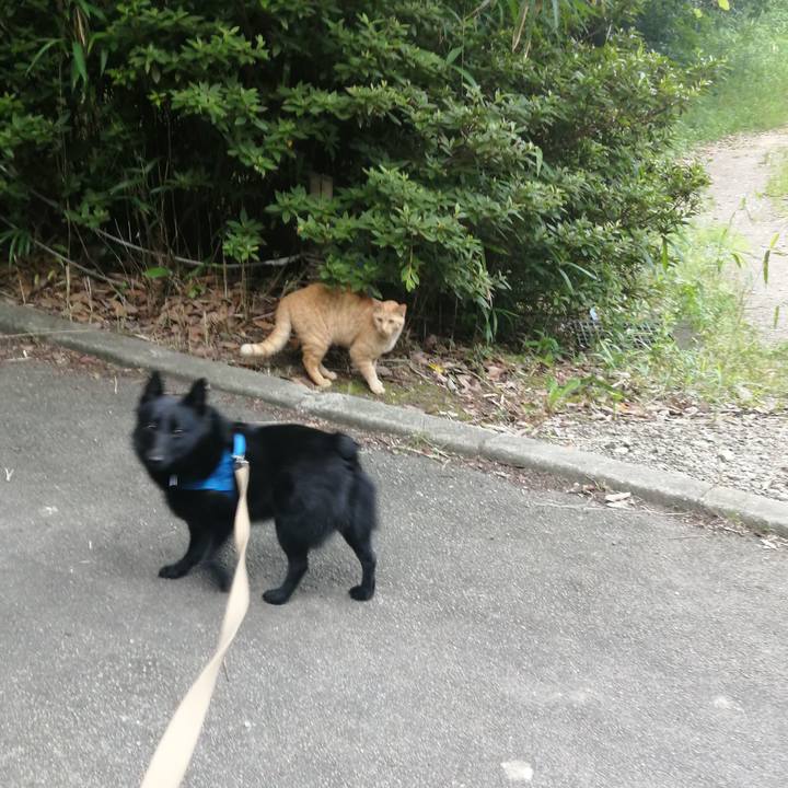 3d135b30 240b 49ef 98cd 3bf45928d395 1624309714302