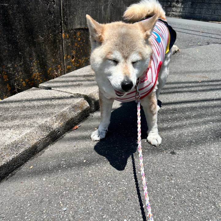 3d137cc7 a0c4 4e3e 8c31 9e2c2d2741ab 1748401051312