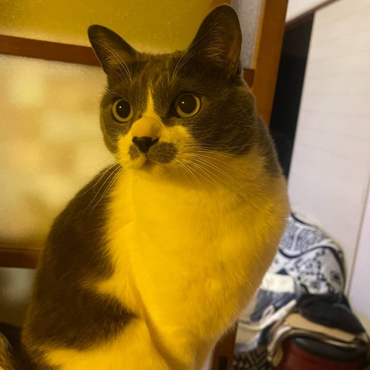 3d13d756 ad76 4541 8445 ec64f513f106 1738669947869