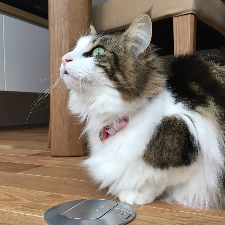 3d13e6a3 34fb 4740 9650 d8ba72eb24f0 1516255824446