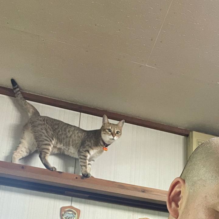 3d146bf0 ebdf 418f 9de8 fb667449336f 1723684661762