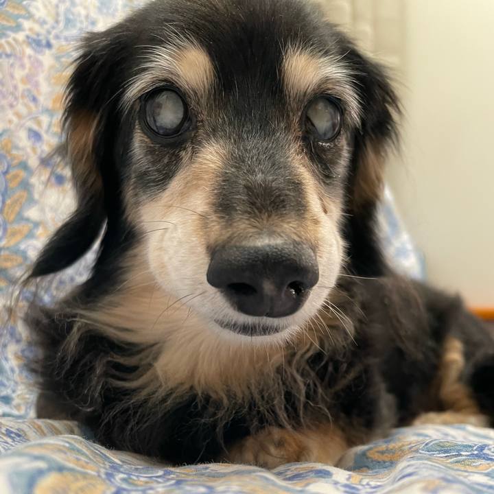 3d147364 8e6c 4e87 8f09 1709c009396d 1754264442375