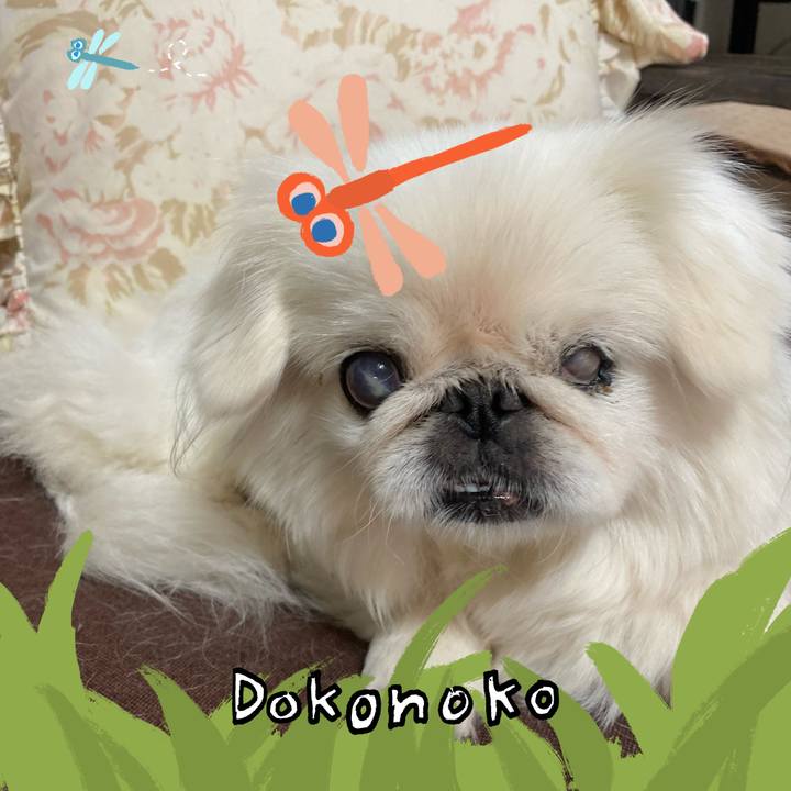 3d148051 62ed 400f 8b00 89419a865fc5 1726829554533