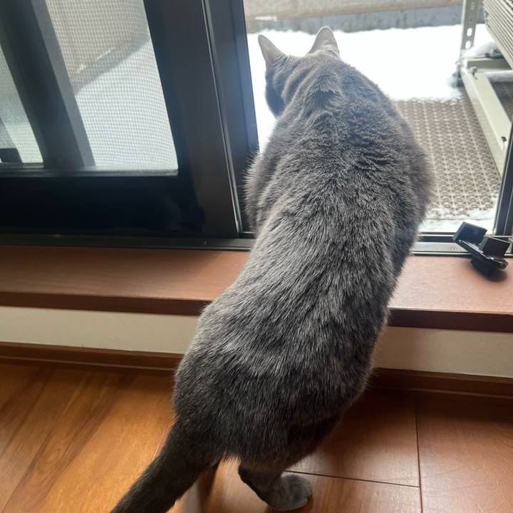 3d14e89e 9fd6 495c 9b1b 4e85278421e4 1739067002085