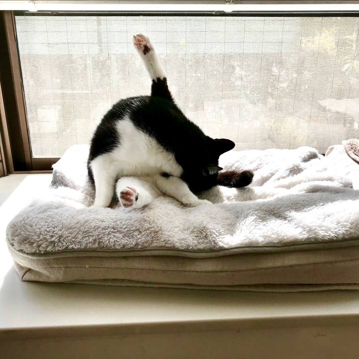 3d14eb12 861d 44f1 9161 3b6cb914b049 1515212831178