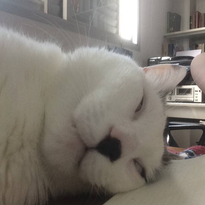 3d150395 85fa 454a 8cd9 7821148067d4 1554055068276