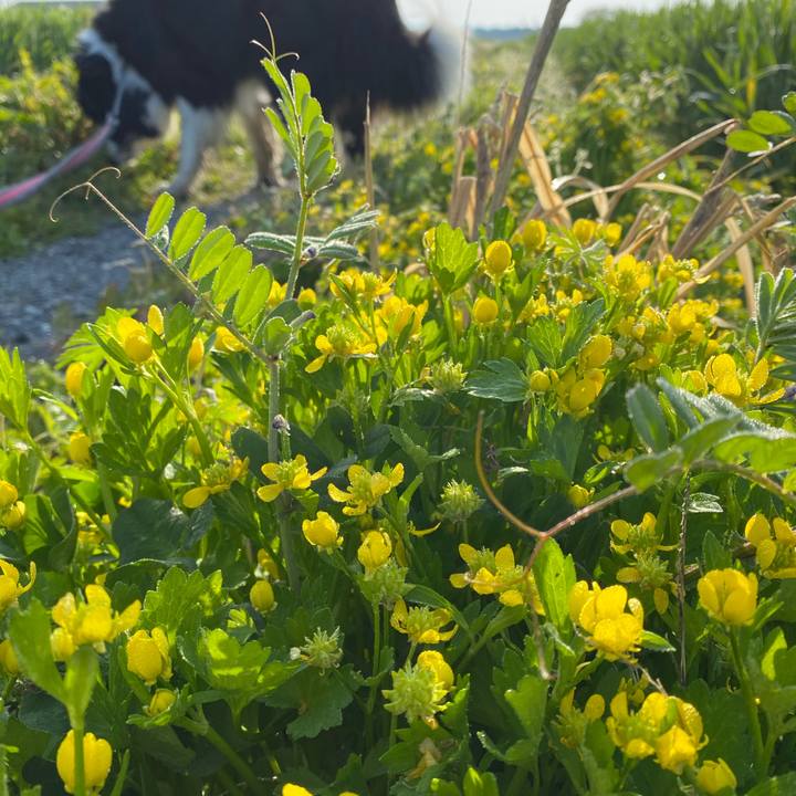 3d151645 0a28 4276 8aa3 213fe5dbda86 1649288042554