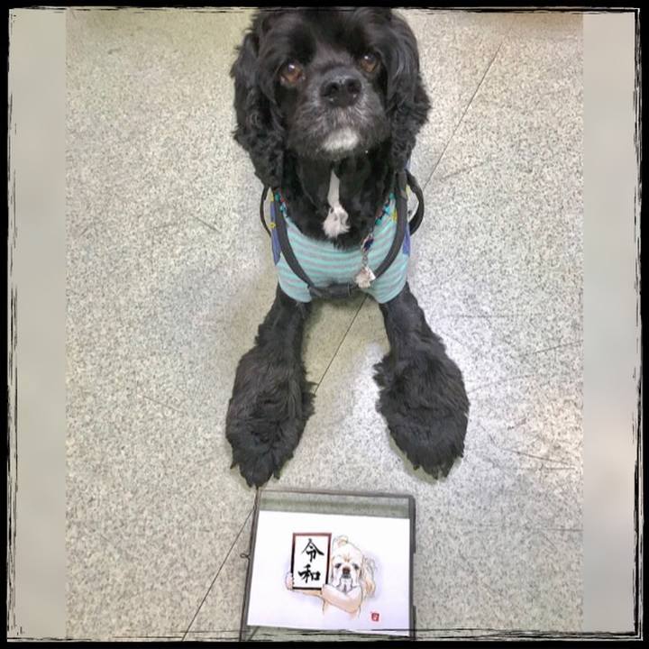 3d1524ea a6fd 482c 8a91 c1f853f41d16 1556643408224