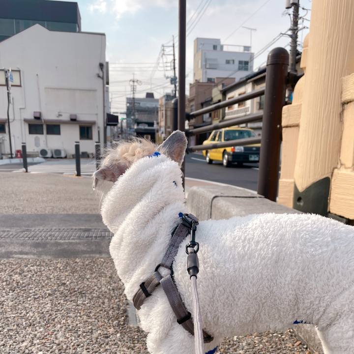 3d158415 9eb6 4a3d 9bf5 5ade06583180 1765181728690