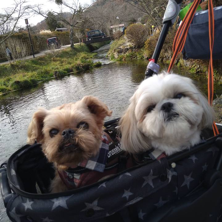 3d15854c f017 4339 a474 8247e2dfb1a5 1637755177683