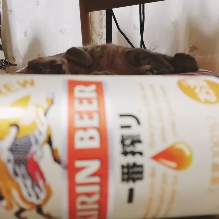 3d1586ce 6cd6 447c 95ec c275f12d069b 1555766878388