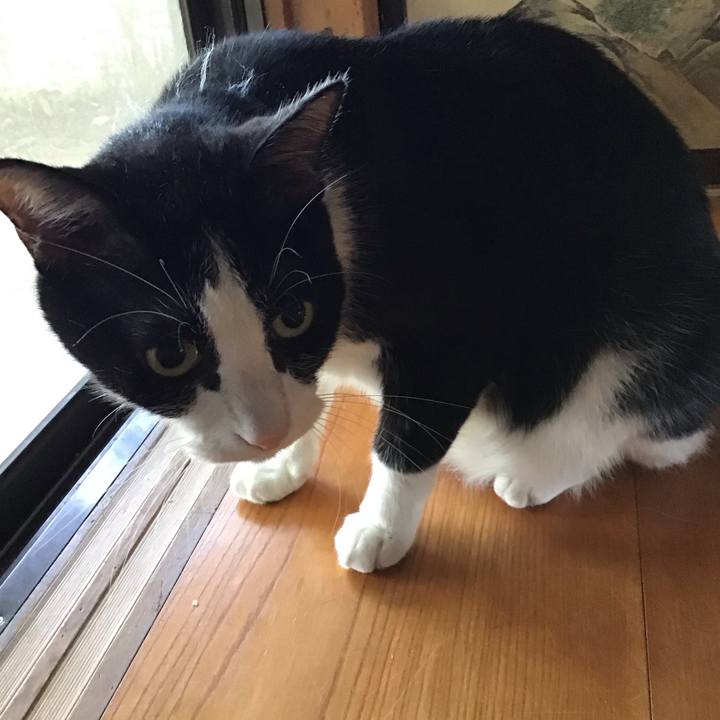 3d1598c5 82e9 4306 a911 e39ec5de29b3 1755817621379