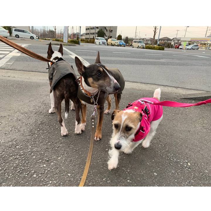 3d15a7ed 14a7 435c 9303 6469e1da3487 1582968623275