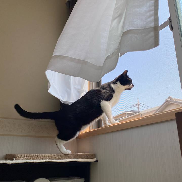 3d15aa65 23c3 4e53 8b92 2a467da990db 1684611384331