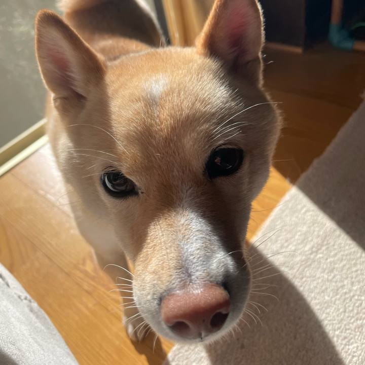 3d160960 3132 4451 8d83 087379caf374 1669082953703