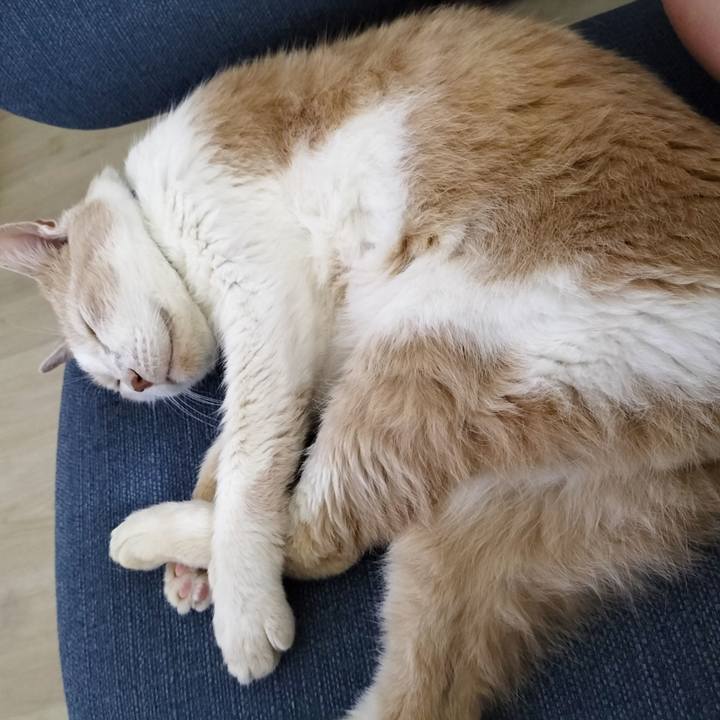 3d160efa 66e1 4312 9545 3c712f67462e 1687091443296