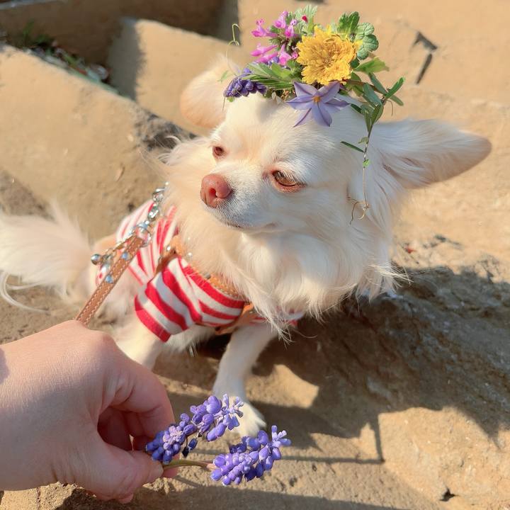 3d162984 1e50 4ef3 b010 be279e327e6c 1711100343672