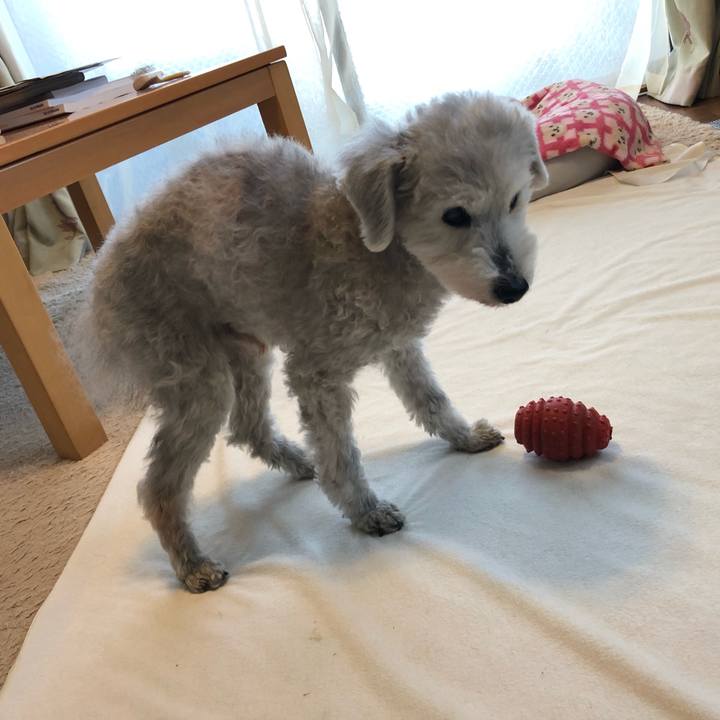 3d1637a9 8aa6 40c1 8f5d b373ef0c25fa 1646958506118