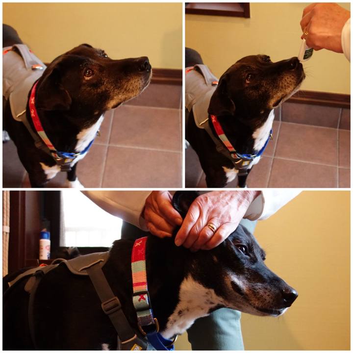 3d16435b 0d47 41b7 9485 292632da0ee9 1744763136253