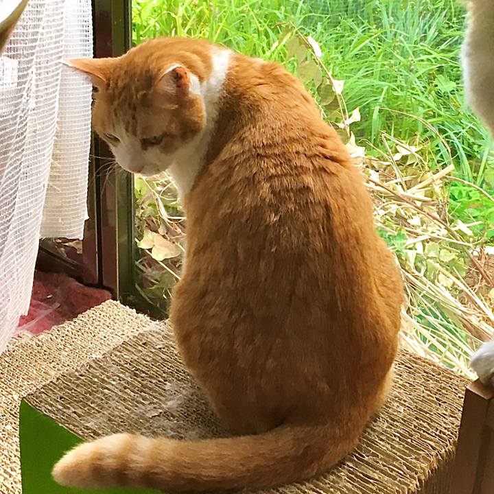 3d165715 40f5 4fb6 af0b 2bdd8d4c3d70 1629792208943