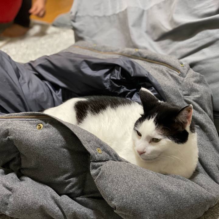 3d166152 4b97 438c 9b35 38f97042c92d 1642164353578