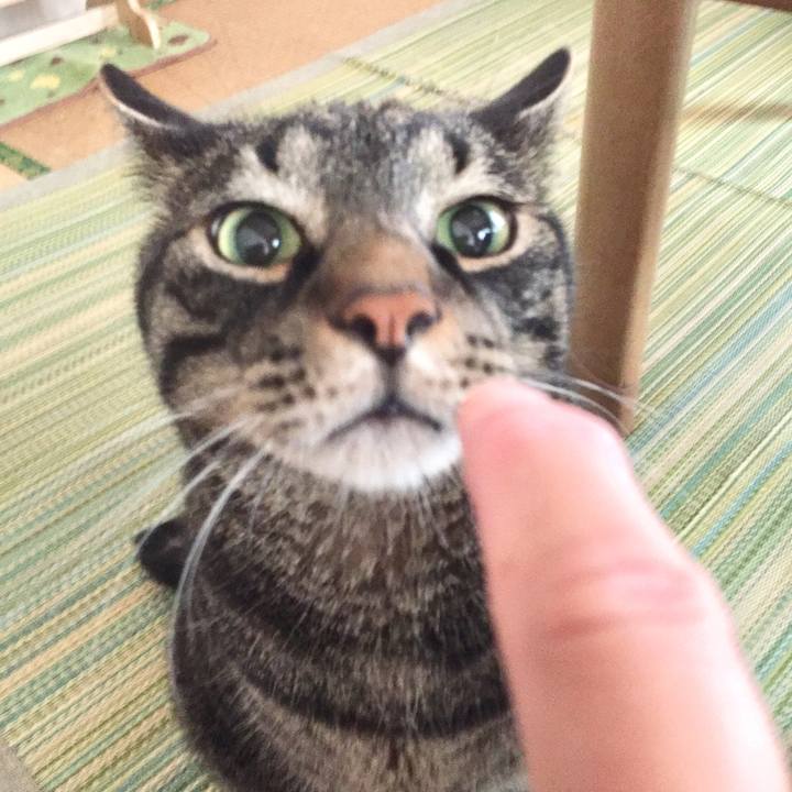 3d166b1e 8eff 47ff 92ba dc69b07eda42 1594349684386