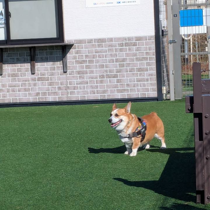 3d166cab 98c1 4132 b203 0f9c390b154e 1766025968752