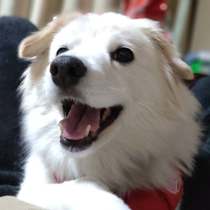 3d16791a c455 4559 9956 a45bb99207aa 1648469542788