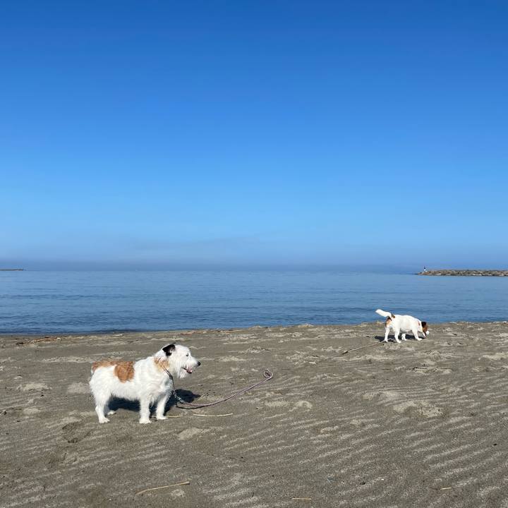 3d168597 e52a 4bbd af9e cd8ee009e9a3 1684537938183