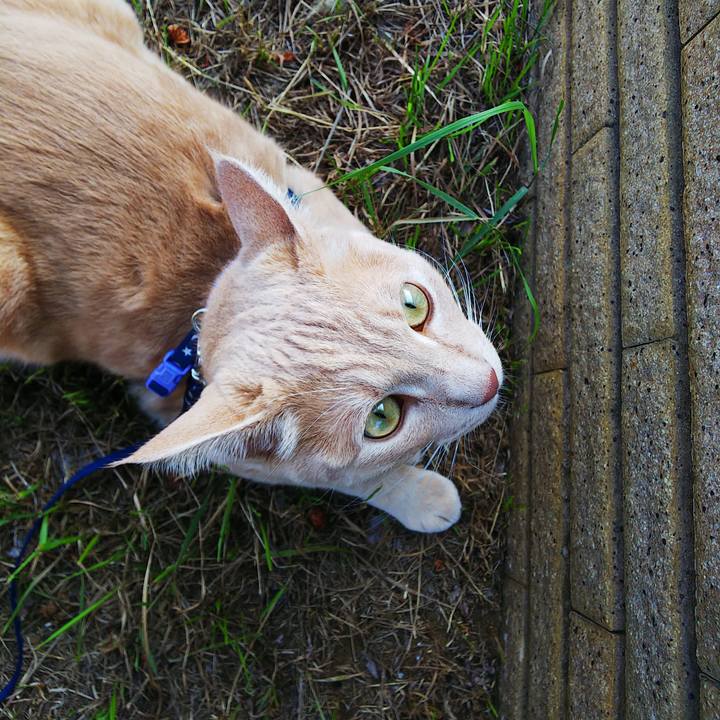 3d16b997 b7c9 4c70 be75 e878e506de23 1564820128395