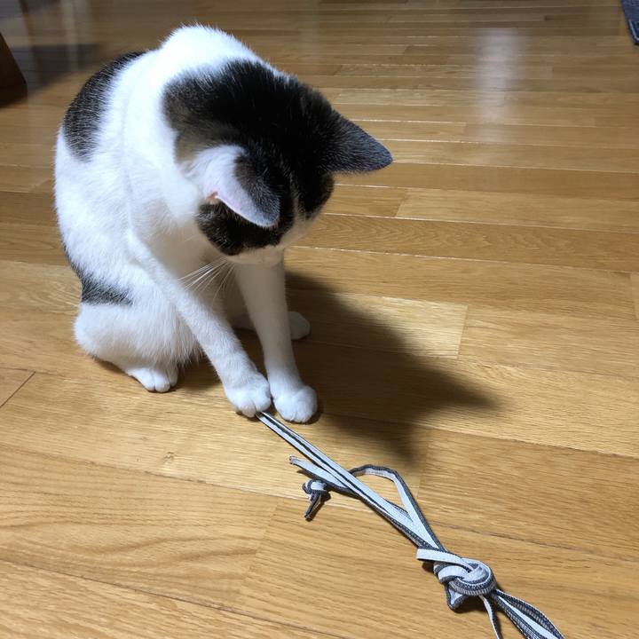 3d16cb51 734d 4f9c b672 8dba13cec1f0 1627572918648