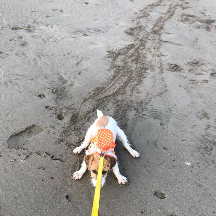 3d16d9ce f14f 4a50 a2e1 6dba1542504f 1761653760509