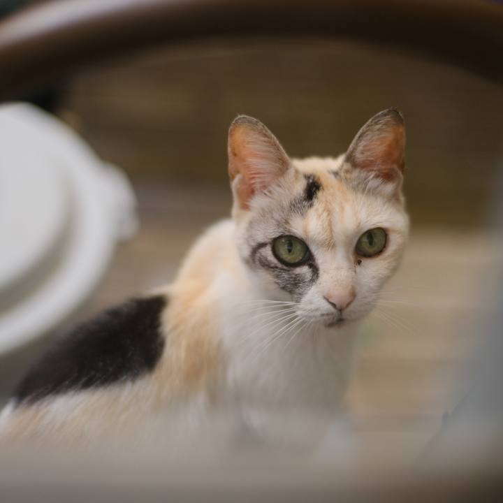 3d16e159 f981 46a3 8f50 03524c761e58 1687742160436