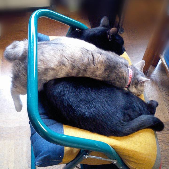 3d170059 9a6a 49bc 86b5 e599a4d49955 1509885949982