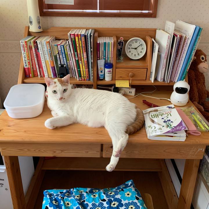 3d1706b7 0428 474e b300 4b117dd2bae0 1635898488225