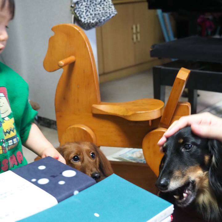 3d173725 70e1 4e0e a6d6 48bf8eee6b4b 1735719541364