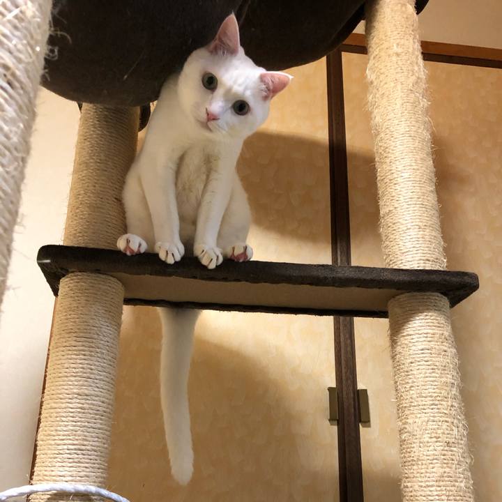 3d174808 c49e 45b5 9931 5e9503832177 1587897758429