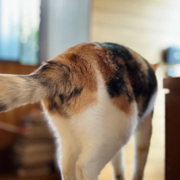 3d17b20c 6649 44fa afd6 c9d590b13c3a 1697418660803