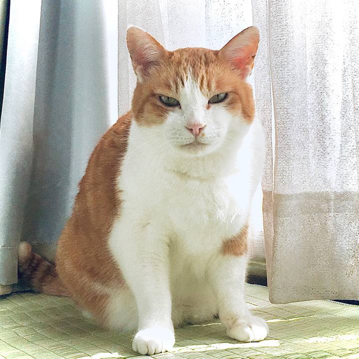 3d17c6d4 45f3 4003 b105 8574516fded0 1586579154191