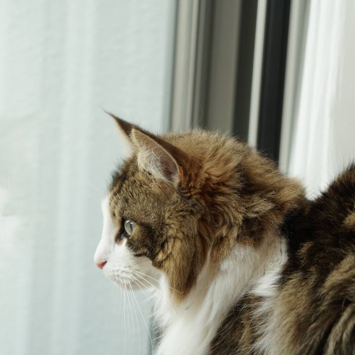 3d182be0 73ae 4f98 803f 7d60c4e3b290 1551775989325