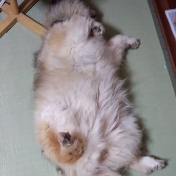 3d183ff9 371b 4c98 aa1e ea279e4d151b 1601825026046